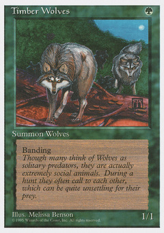 Timber Wolves